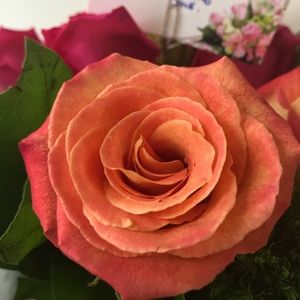 Meet your Posher, Stacey